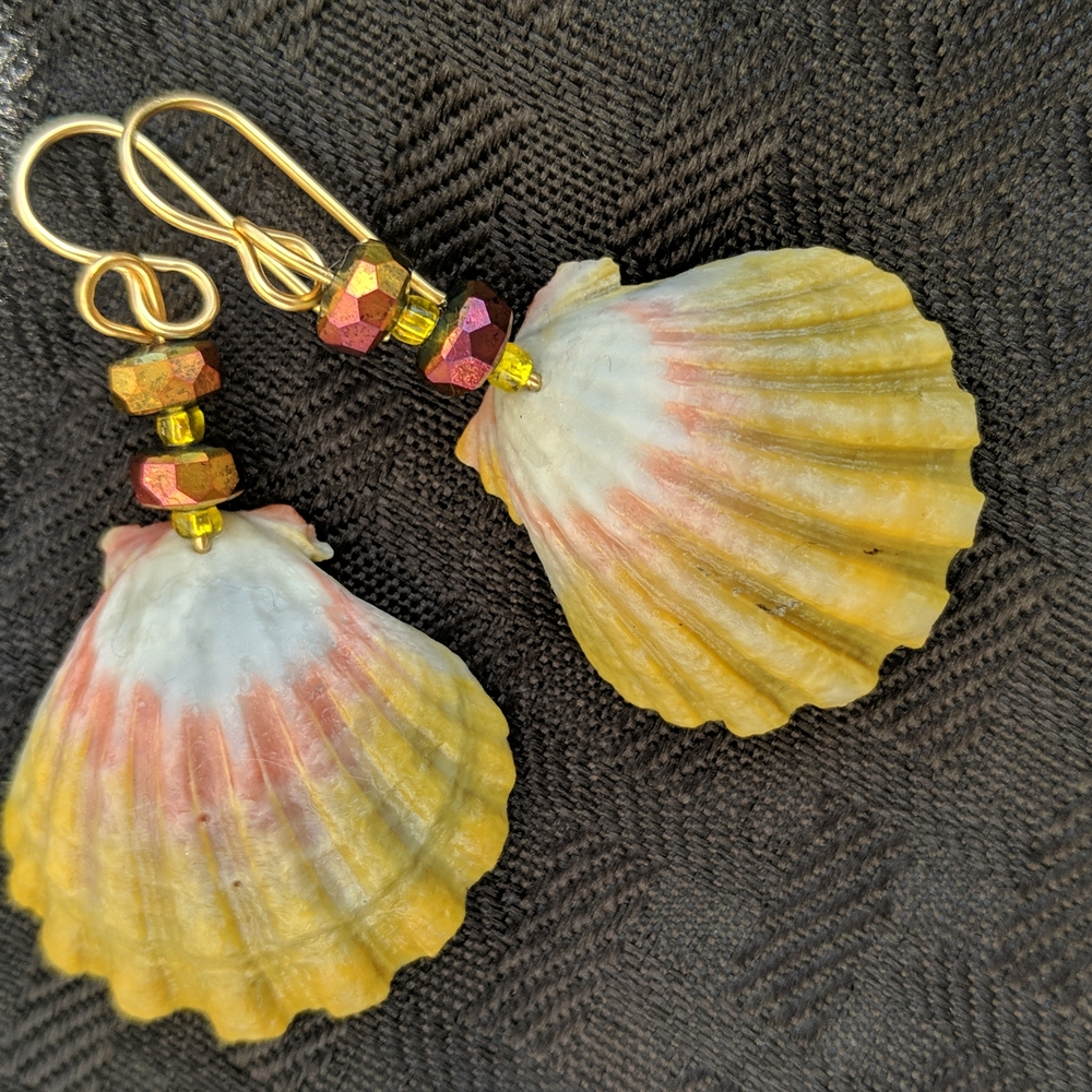 Rare Hawaii sunrise seashell earrings